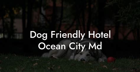 pet friendly hotels in maryland